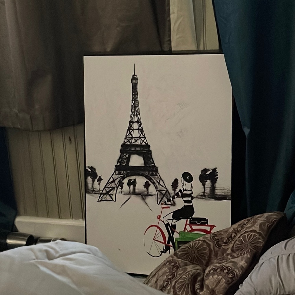 Bedroom/living room picture